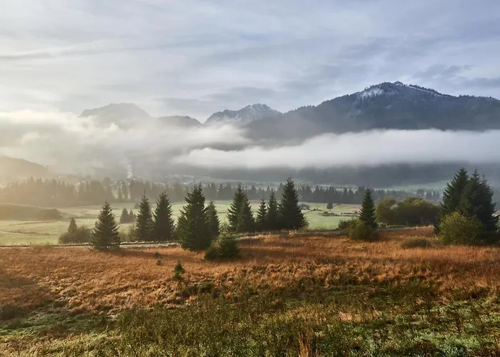 Daire Gaestehaus Woetzer Und Landhaus Stocka Grän